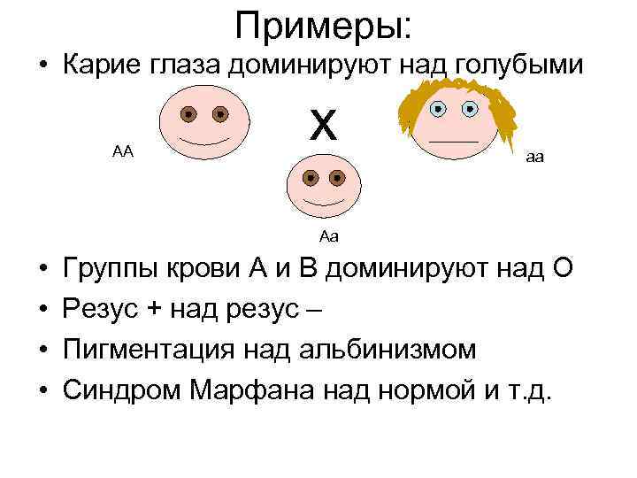 Примеры: • Карие глаза доминируют над голубыми АА х аа Аа • • Группы