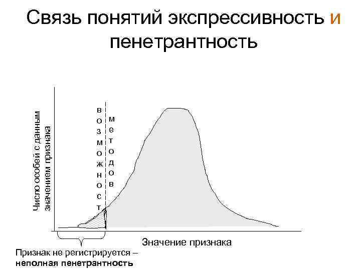 Число особей с данным значением признака Связь понятий экспрессивность и пенетрантность в о з