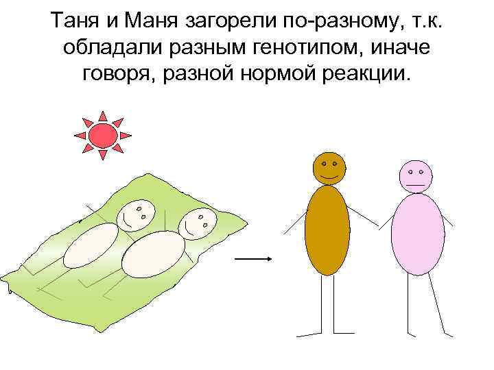 Таня и Маня загорели по-разному, т. к. обладали разным генотипом, иначе говоря, разной нормой