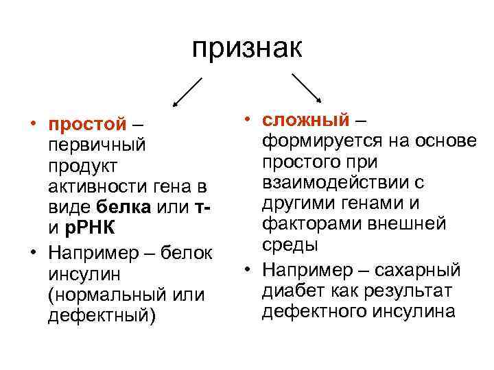 признак • простой – первичный продукт активности гена в виде белка или ти р.