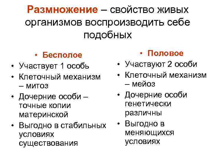 Размножение – свойство живых организмов воспроизводить себе подобных • • • Бесполое Участвует 1