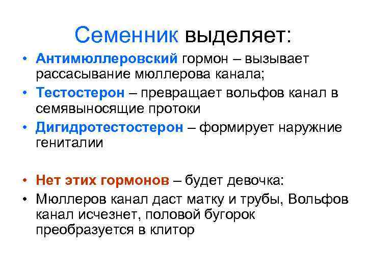Семенник выделяет: • Антимюллеровский гормон – вызывает рассасывание мюллерова канала; • Тестостерон – превращает