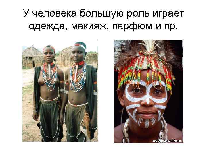 У человека большую роль играет одежда, макияж, парфюм и пр. 