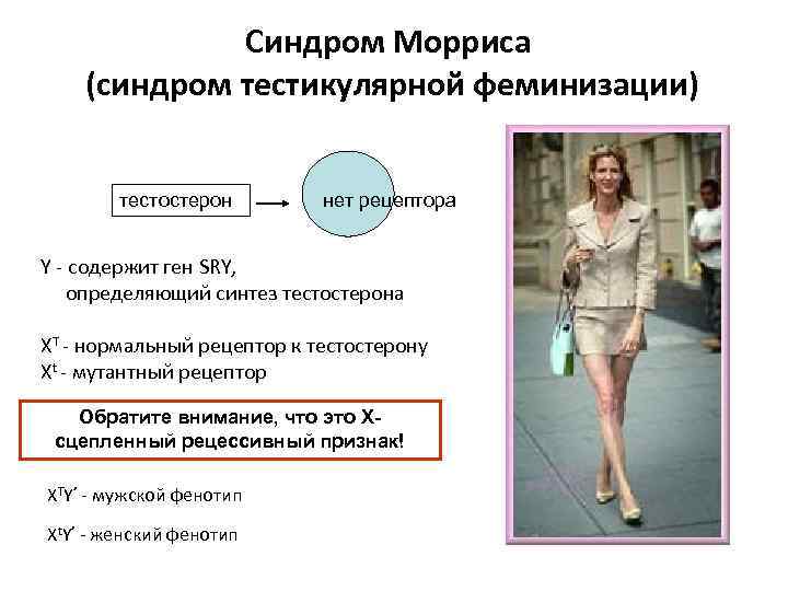 Синдром Морриса (синдром тестикулярной феминизации) тестостерон нет рецептора Y - содержит ген SRY, определяющий