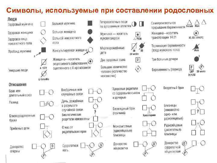 Символы, используемые при составлении родословных 