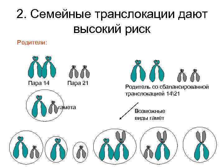 2. Семейные транслокации дают высокий риск Родители: Пара 14 Пара 21 гамета Родитель со