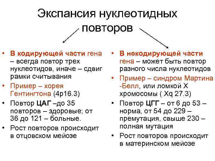 Экспансия нуклеотидных повторов • В кодирующей части гена – всегда повтор трех нуклеотидов, иначе