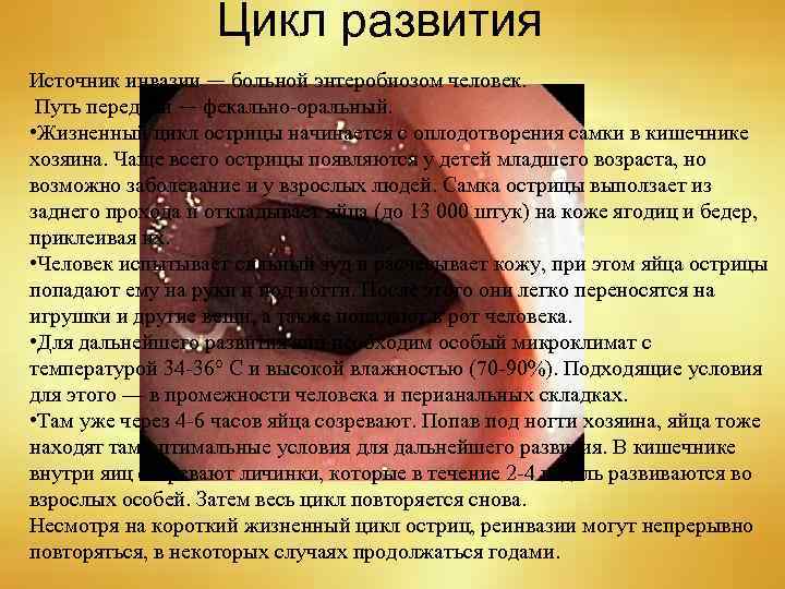 Цикл развития Источник инвазии — больной энтеробиозом человек. Путь передачи — фекально-оральный. • Жизненный