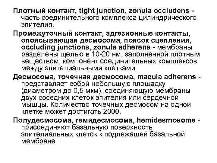 Плотный контакт, tight junction, zonula occludens часть соединительного комплекса цилиндрического эпителия. Промежуточный контакт, адгезионные