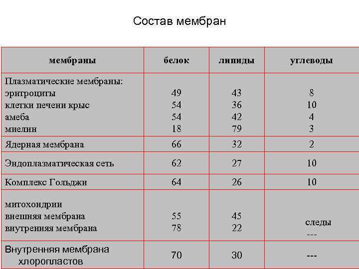 Состав мембраны белок липиды углеводы Плазматические мембраны: эритроциты клетки печени крыс амеба миелин 49