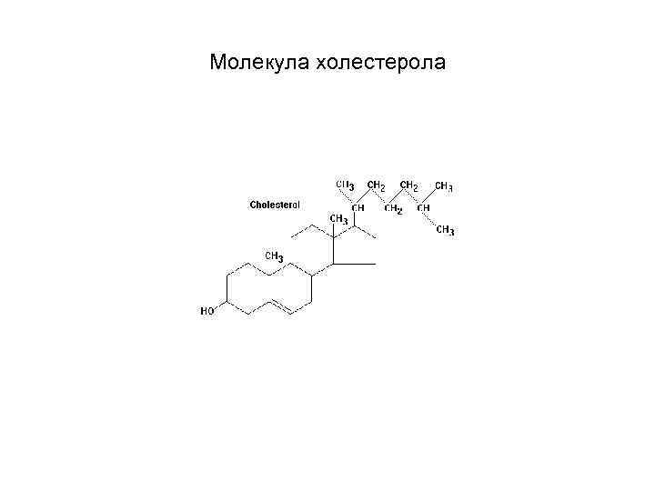 Молекула холестерола 