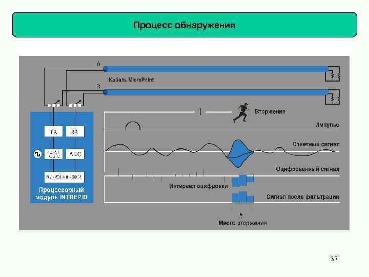 Процесс обнаружения 37 
