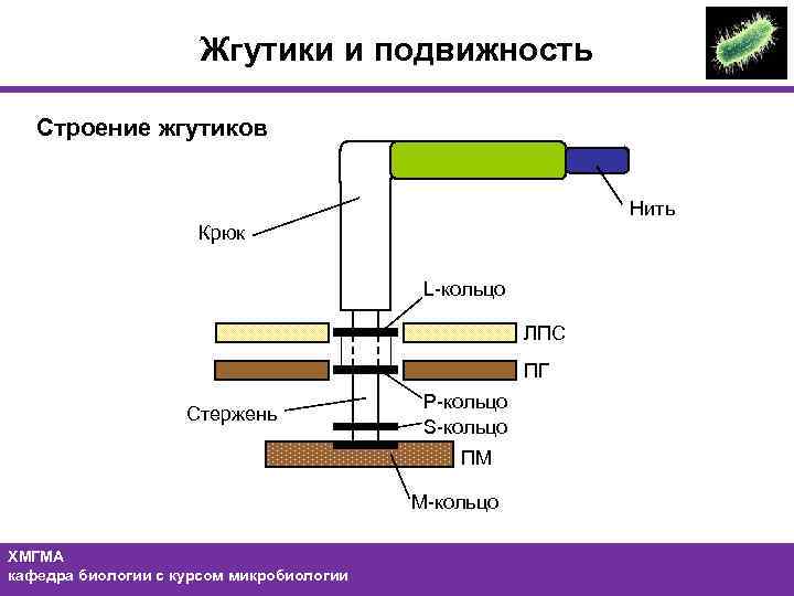 Строение предохранителя пм