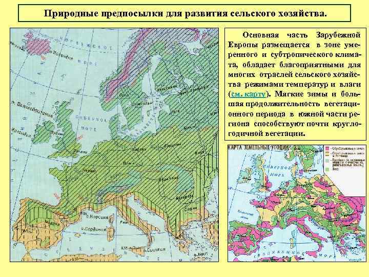 Природные предпосылки для развития сельского хозяйства. Основная часть Зарубежной Европы размещается в зоне умеренного