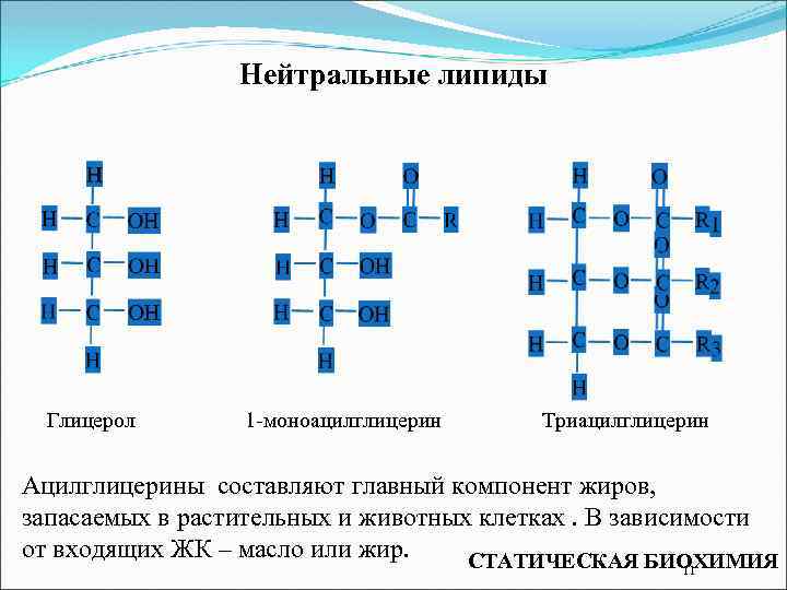 Нейтральные липиды Глицерол 1 -моноацилглицерин Триацилглицерин Ацилглицерины составляют главный компонент жиров, запасаемых в растительных