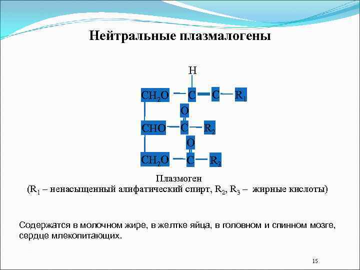 Нейтральные плазмалогены Н С С О СНО С R 2 О СН 2 О
