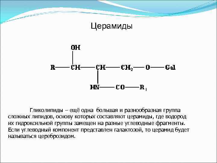 Церамиды Гликолипиды – ещё одна большая и разнообразная группа сложных липидов, основу которых составляют