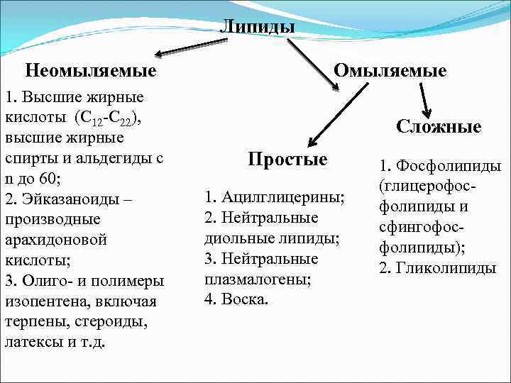 Липиды Неомыляемые 1. Высшие жирные кислоты (С 12 -С 22), высшие жирные спирты и