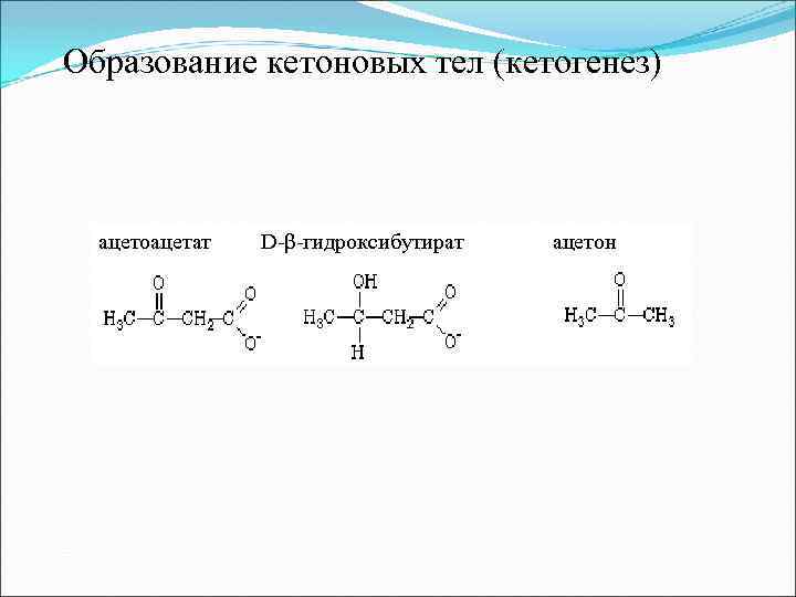  Образование кетоновых тел (кетогенез) ацетоацетат D-β-гидроксибутират ацетон 