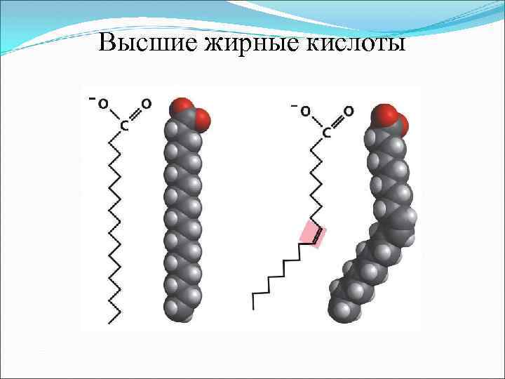 Высшие жирные кислоты 