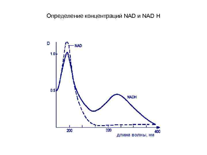 Определение концентраций NAD и NAD H 