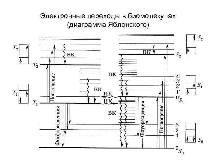 Схема энергетических уровней молекулы