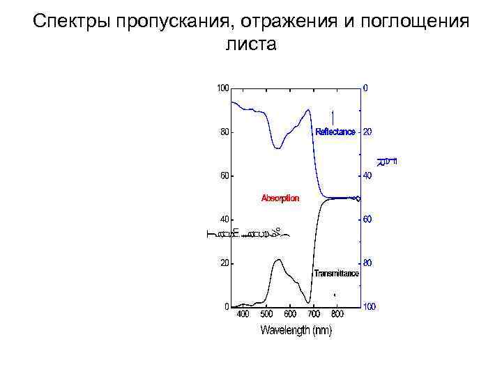 На рисунке приведен спектр поглощения смеси паров неизвестных металлов