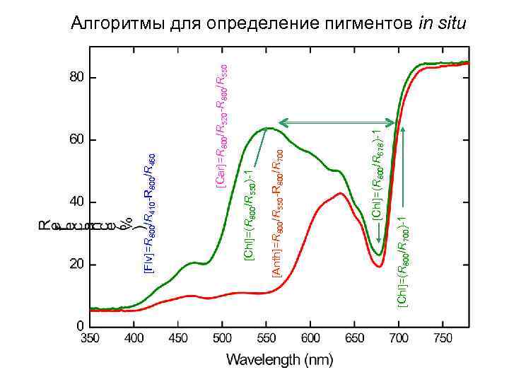 [Chl]=(R 800/R 700)-1 [Chl]=(R 800/R 678)-1 [Anth]=R 800/R 550 -R 800/R 700 [Chl]=(R 800/R