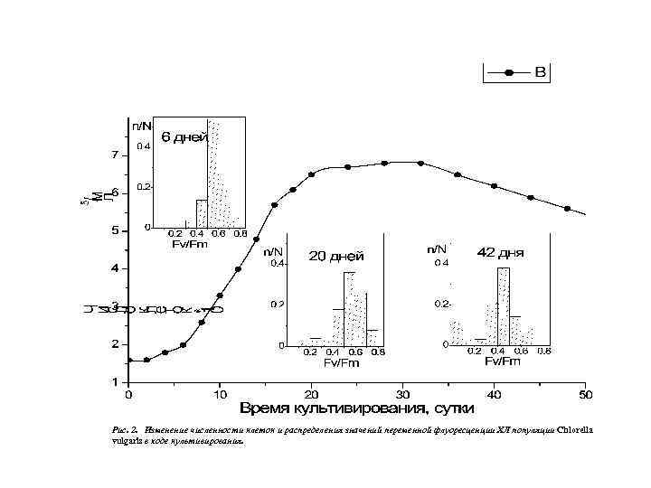 Рис. 2. Изменение численности клеток и распределения значений переменной флуоресценции ХЛ популяции Chlorella vulgaris