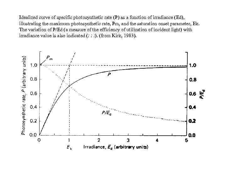 Idealized curve of specific photosynthetic rate (P) as a function of irradiance (Ed), illustrating
