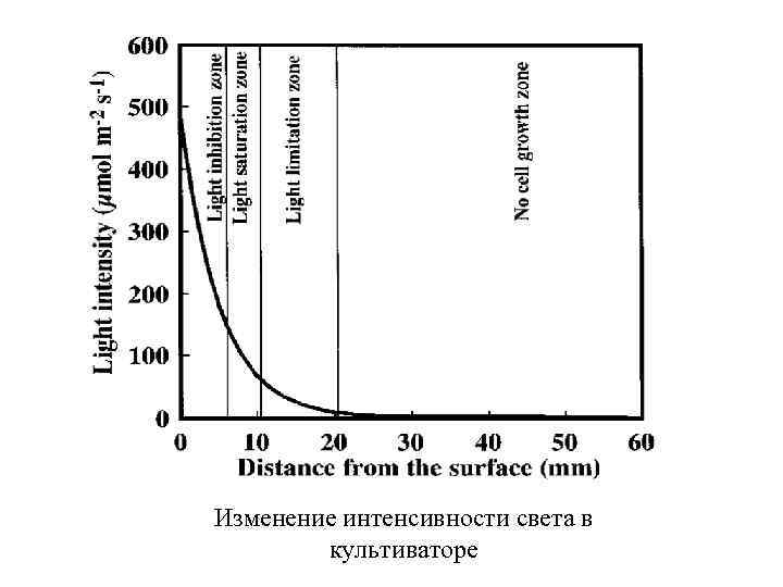 Изменение интенсивности света в культиваторе 