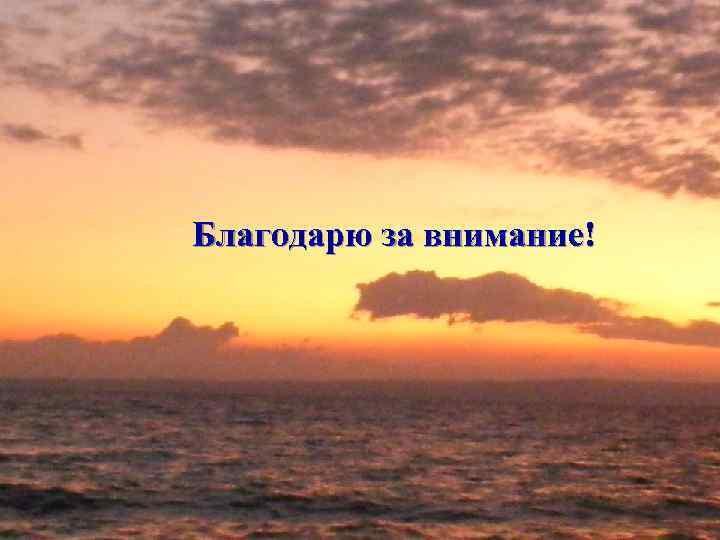 Благодарю за внимание! 