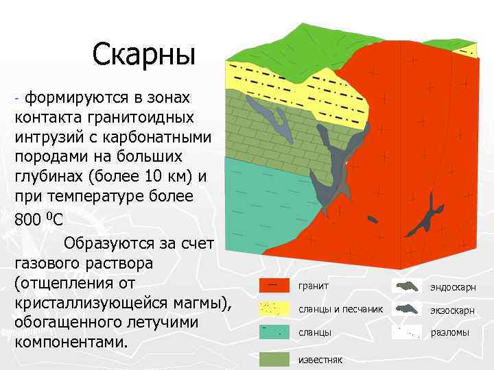 Скарны формируются в зонах контакта гранитоидных интрузий с карбонатными породами на больших глубинах (более