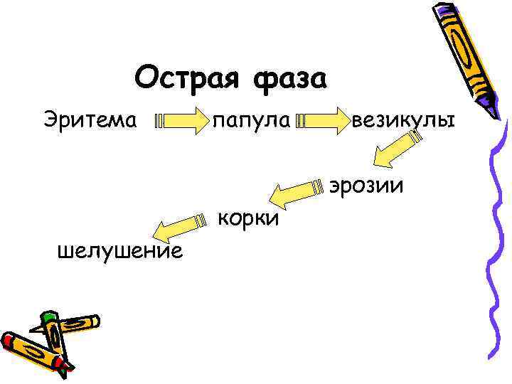 Острая фаза Эритема папула везикулы эрозии корки шелушение 