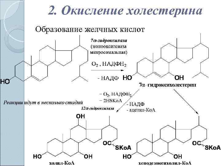 Соли Желчных Кислот Купить В Аптеке