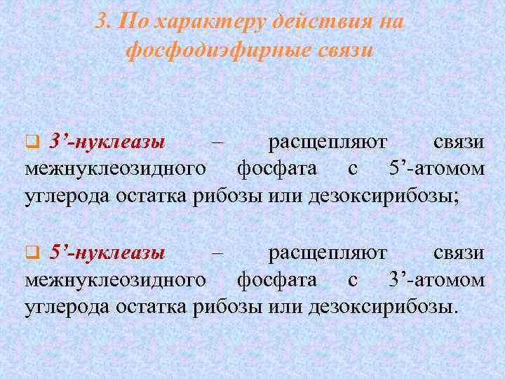 3. По характеру действия на фосфодиэфирные связи 3’-нуклеазы – расщепляют связи межнуклеозидного фосфата с