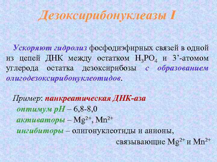 Дезоксирибонуклеазы I Ускоряют гидролиз фосфодиэфирных связей в одной гидролиз из цепей ДНК между остатком