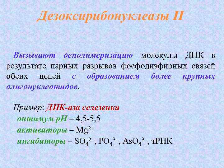 Дезоксирибонуклеазы II Вызывают деполимеризацию молекулы ДНК в результате парных разрывов фосфодиэфирных связей обеих цепей