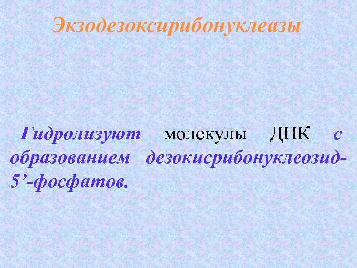 Экзодезоксирибонуклеазы Гидролизуют молекулы ДНК с Гидролизуют образованием дезокисрибонуклеозид 5’-фосфатов. 