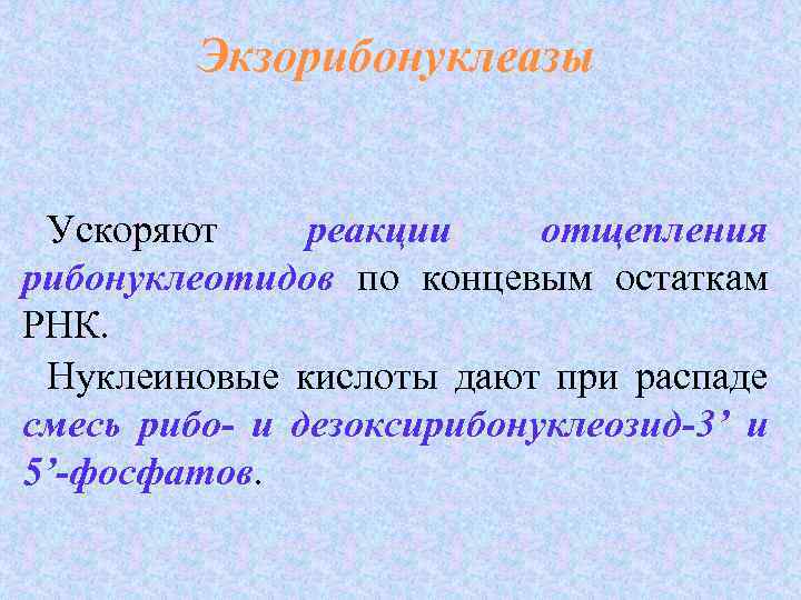 Экзорибонуклеазы Ускоряют реакции отщепления рибонуклеотидов по концевым остаткам рибонуклеотидов РНК. Нуклеиновые кислоты дают при