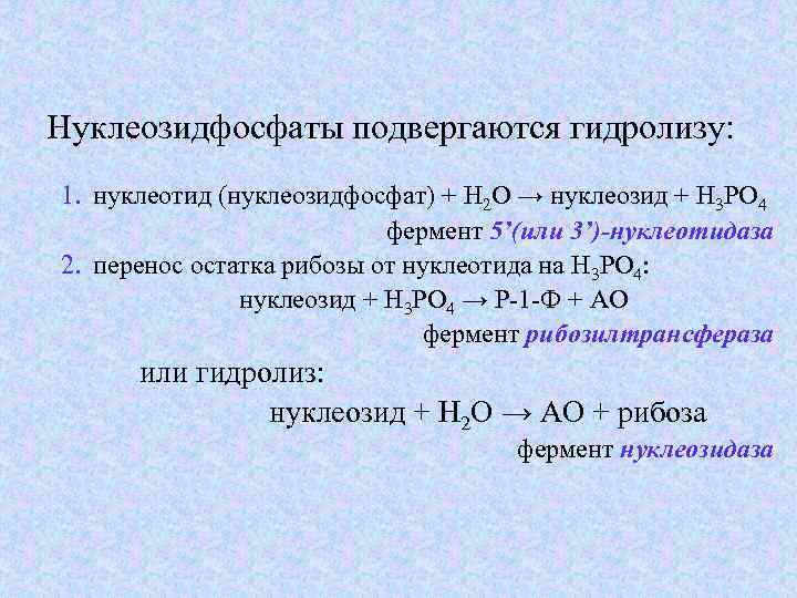 Нуклеозидфосфаты подвергаются гидролизу: 1. нуклеотид (нуклеозидфосфат) + Н 2 О → нуклеозид + Н