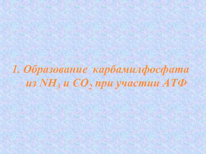 1. Образование карбамилфосфата из NН 3 и СО 2 при участии АТФ 