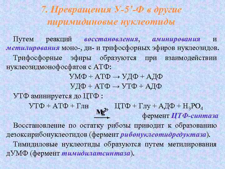 7. Превращения У-5’-Ф в другие пиримидиновые нуклеотиды Путем реакций восстановления, аминирования и восстановления аминирования