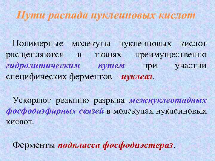 Пути распада нуклеиновых кислот Полимерные молекулы нуклеиновых кислот расщепляются в тканях преимущественно гидролитическим путем