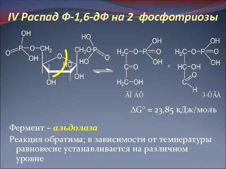 Распад органических веществ. Реакция изомеризации фосфотриоз. Альдолаза реакция. Реакция с ферментом альдолаза. ДОАФ биохимия.