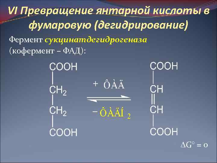 Дегидрирование кислоты. Превращение янтарной кислоты в фумаровую. Янтарная в фумаровую кислоту. Образование фумаровой кислоты из янтарной кислоты. Превращение янтарной кислоты при участии кофермента ФАД В фумаровую.