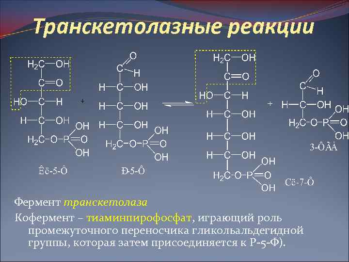 Гидролазы реакции. Транскетолаза кофермент. Транскетолаза кофермент витамина. Реакция транскетолазы. Реакции с ферментами примеры.