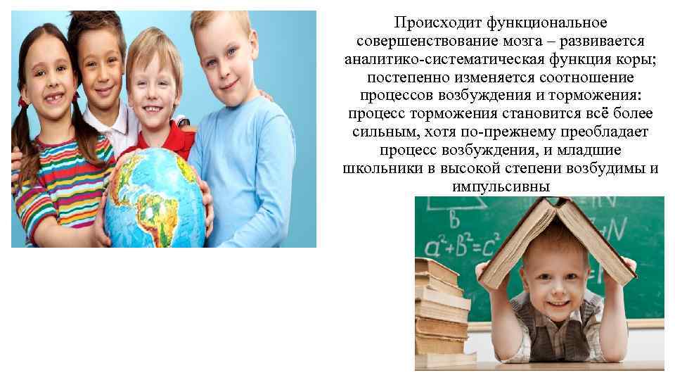 Происходит функциональное совершенствование мозга – развивается аналитико-систематическая функция коры; постепенно изменяется соотношение процессов возбуждения