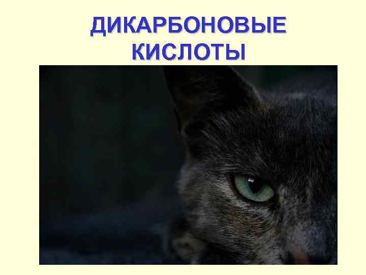 ДИКАРБОНОВЫЕ КИСЛОТЫ 