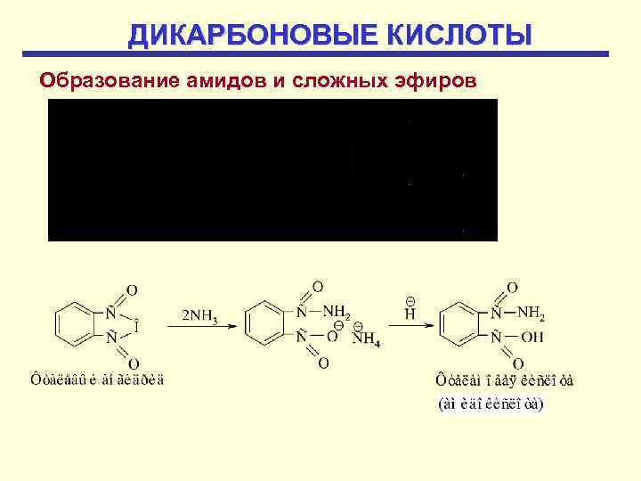 Дикарбоновые кислоты презентация